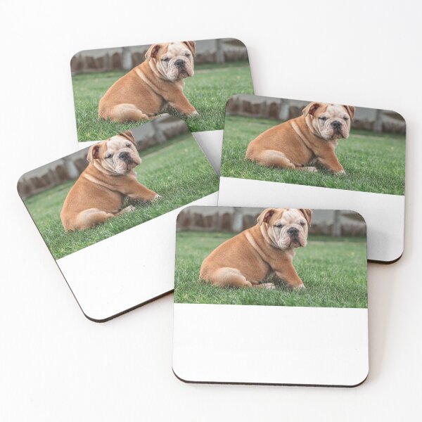Artikelvorschau, Puppy Dog Adorable Photograph Photo entworfen und verkauft von theworld2021.