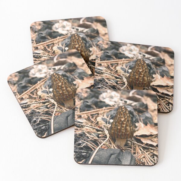 Item preview, Wild Morel Mushroom designed and sold by KsbAesthetics.