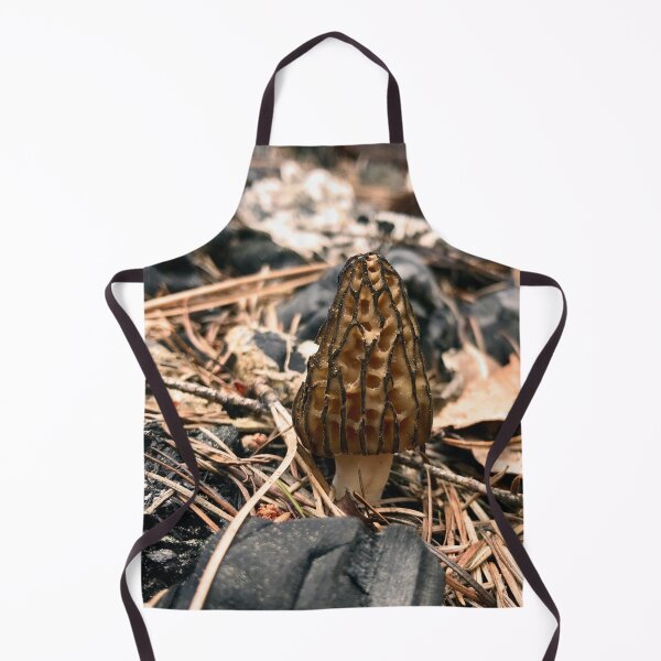 Item preview, Wild Morel Mushroom designed and sold by KsbAesthetics.