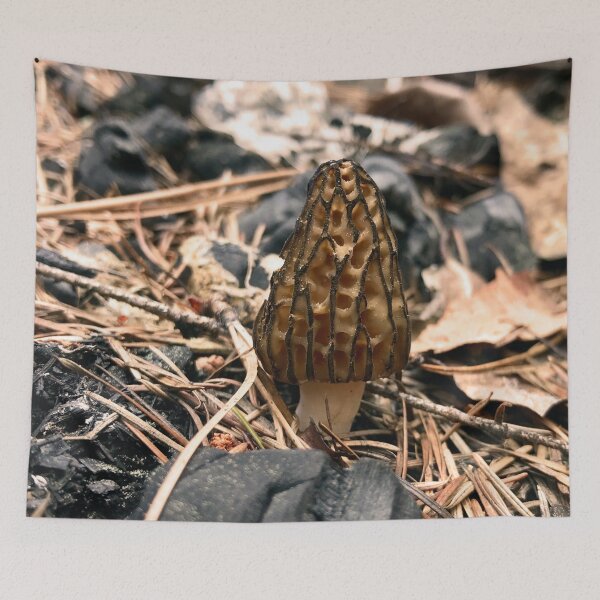 Item preview, Wild Morel Mushroom designed and sold by KsbAesthetics.