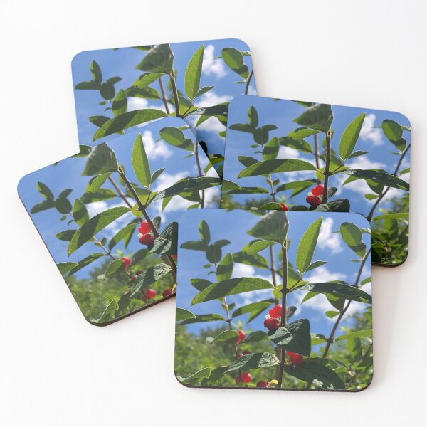 Item preview, Wild Berry Bush Nature  designed and sold by Kaushal Pal.