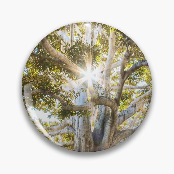 Item preview, Roots designed and sold by Jason Ridgeway.