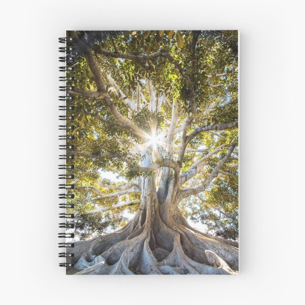 Item preview, Roots designed and sold by Jason Ridgeway.