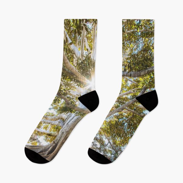 Item preview, Roots designed and sold by Jason Ridgeway.