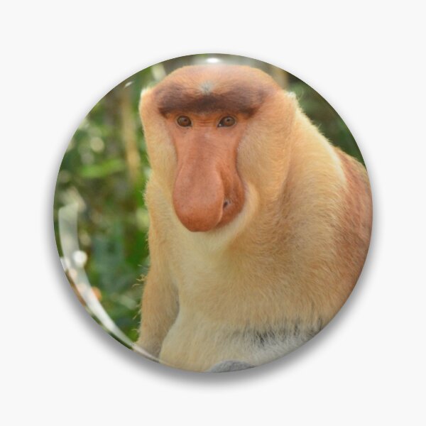 Item preview, Proboscis Monkey designed and sold by emmelined.