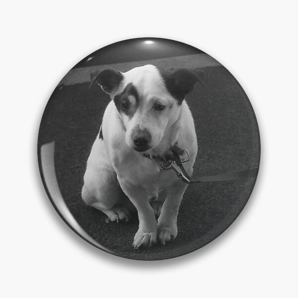 Item preview, Spot designed and sold by Roz McQuillan Fine Art & Photography.