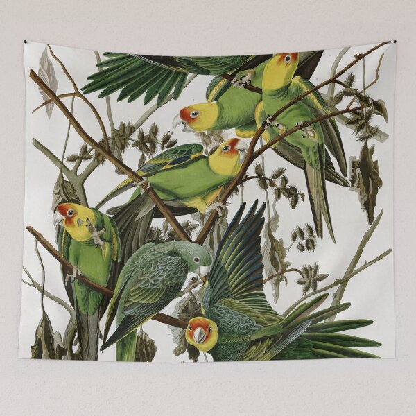 Item preview, AudubonCarolinaParakeet2 designed and sold by Bird-Lore.