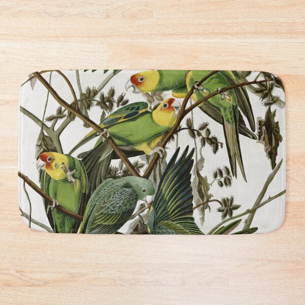 Item preview, AudubonCarolinaParakeet2 designed and sold by Bird-Lore.
