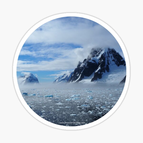 Protect the Antarctic Sticker