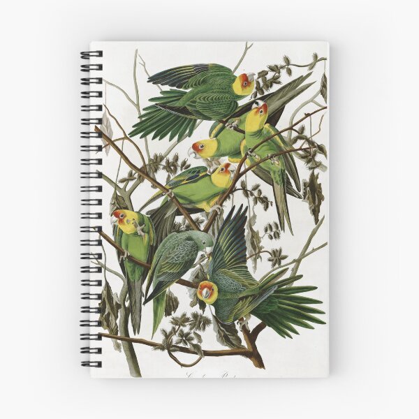 Item preview, AudubonCarolinaParakeet2 designed and sold by Bird-Lore.