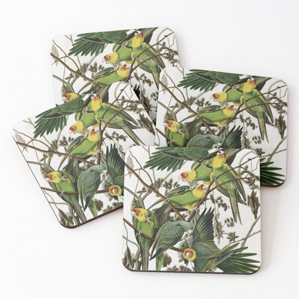 Item preview, AudubonCarolinaParakeet2 designed and sold by Bird-Lore.