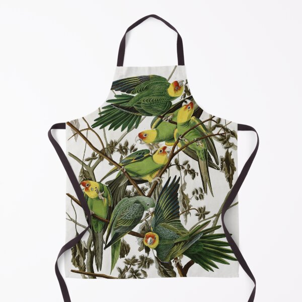 Item preview, AudubonCarolinaParakeet2 designed and sold by Bird-Lore.