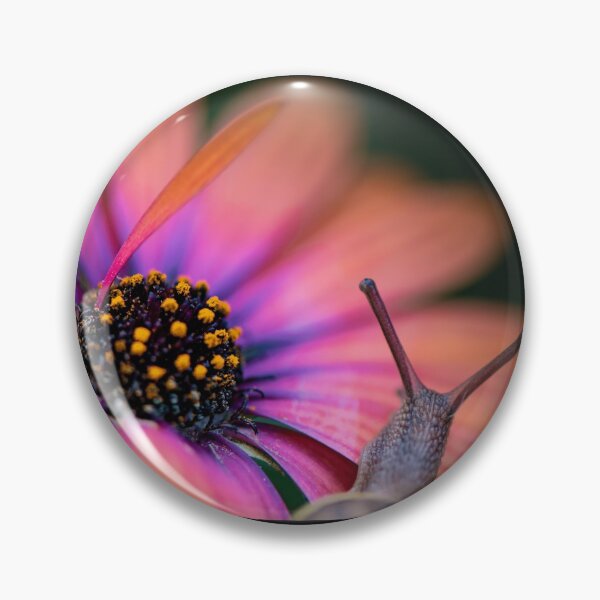 The snail whose flower’s so bright he’s gotta wear shades. Pin