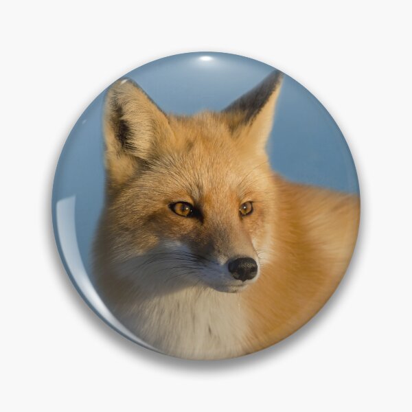 Item preview, Winter Fox designed and sold by Elisabeth Lucas.