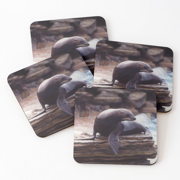 Item preview, Seal on a rock designed and sold by Roz McQuillan Fine Art & Photography.