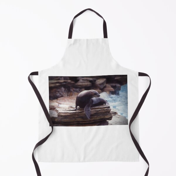 Item preview, Seal on a rock designed and sold by Roz McQuillan Fine Art & Photography.