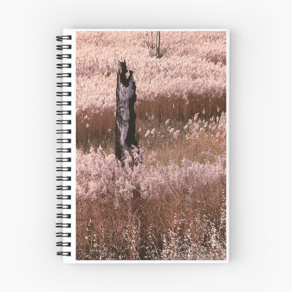 Item preview, Burnt-out tree  designed and sold by Roz McQuillan Fine Art & Photography.
