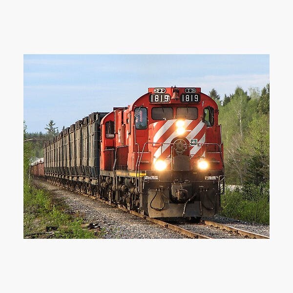 Ore Train Photographic Print