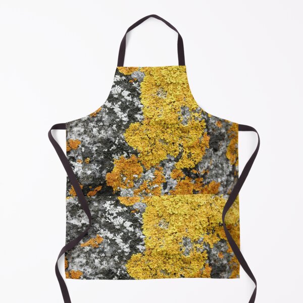 Item preview, Golden Lichen, Binalong Bay, Tasmania, Australia. designed and sold by kaysharp.