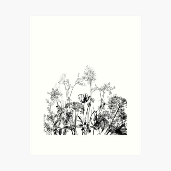 Black White Wild Flowers Botanical Pattern Illustration Vintage T