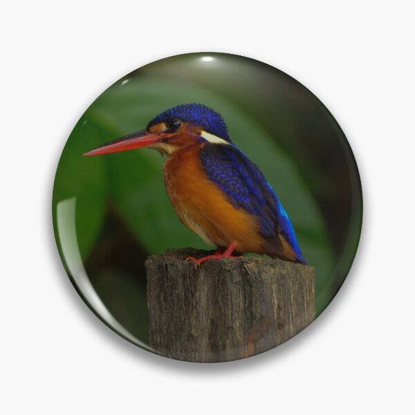 Item preview, King Fisher designed and sold by emmelined.