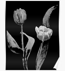 Artsy Tulips Poster
