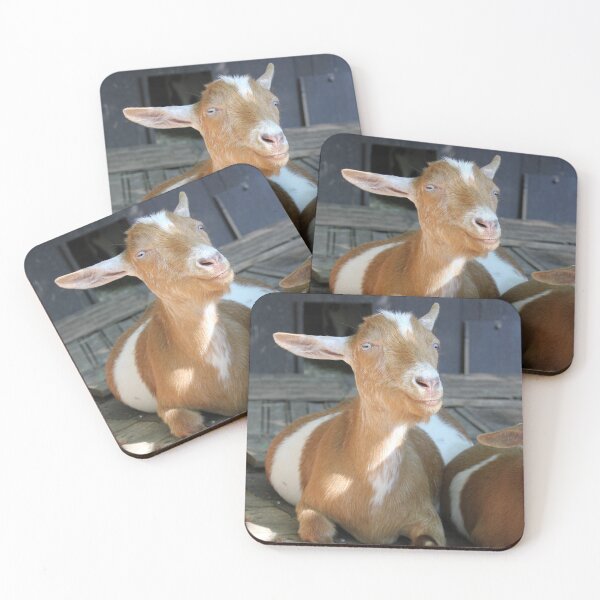Item preview, Smiling Goat designed and sold by Autumn Seas Photography.