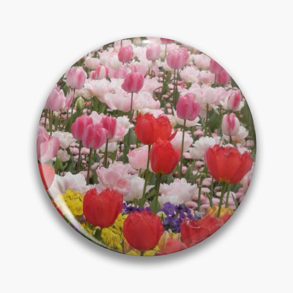 Item preview, A Festival of Colour, Floriade, Canberra, Australia. designed and sold by kaysharp.