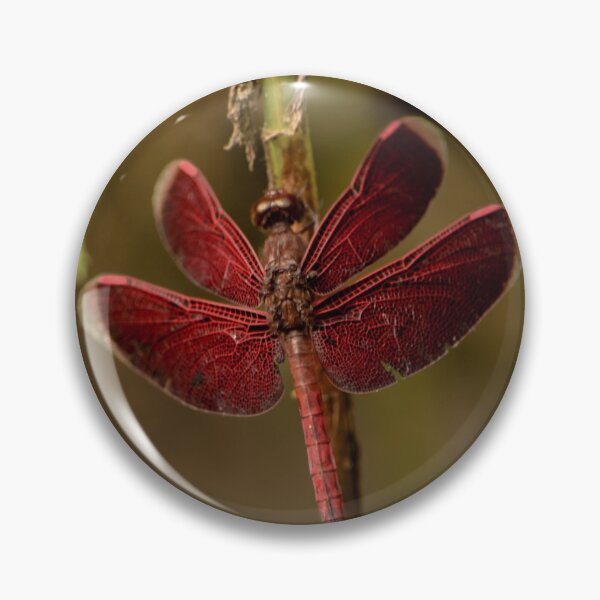 Item preview, Red dragonfly designed and sold by emmelined.