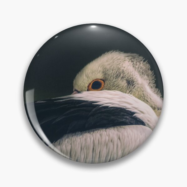 Item preview, pelican... designed and sold by amfphotography.