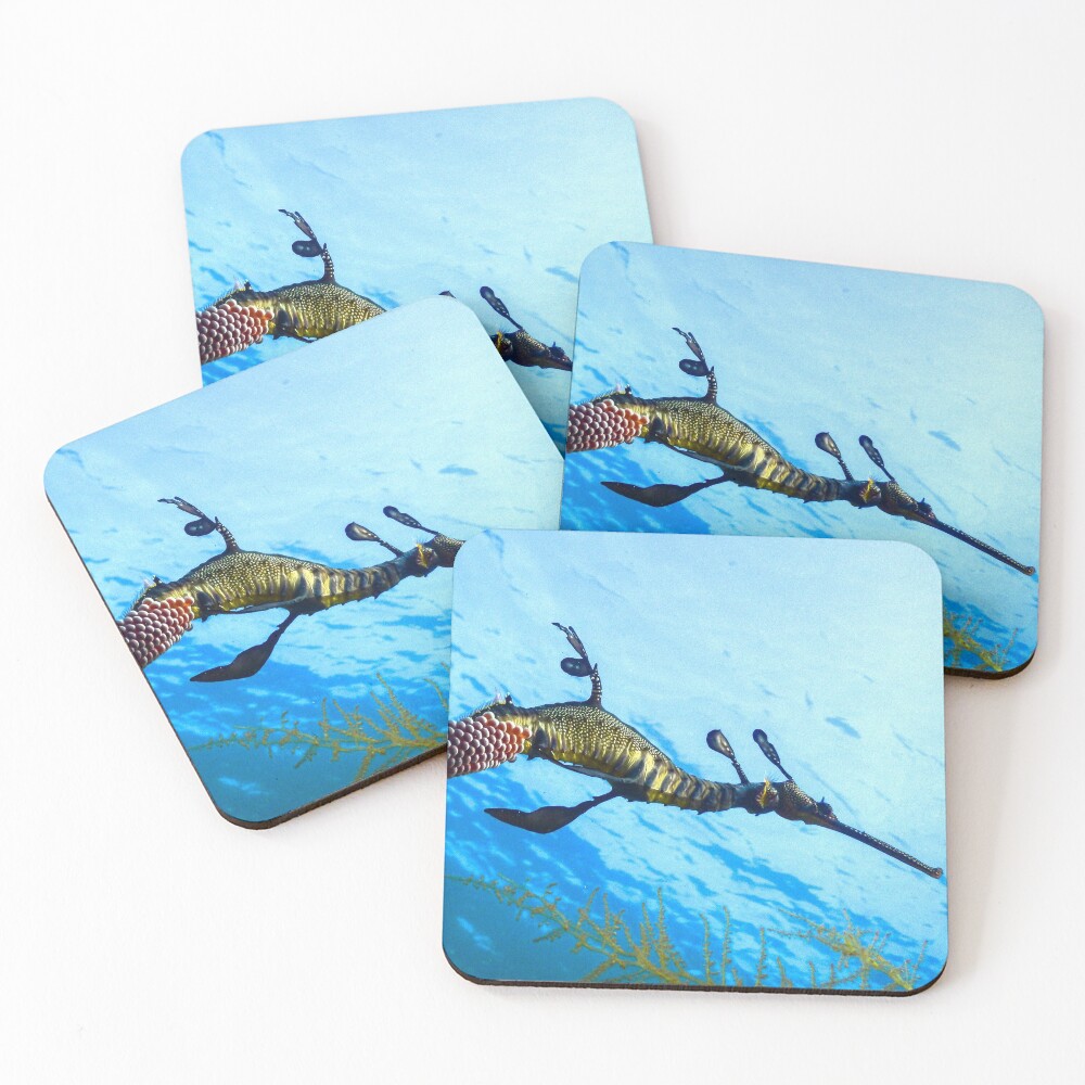 Weedy Seadragon with eggs under the sea Coasters (Set of 4)