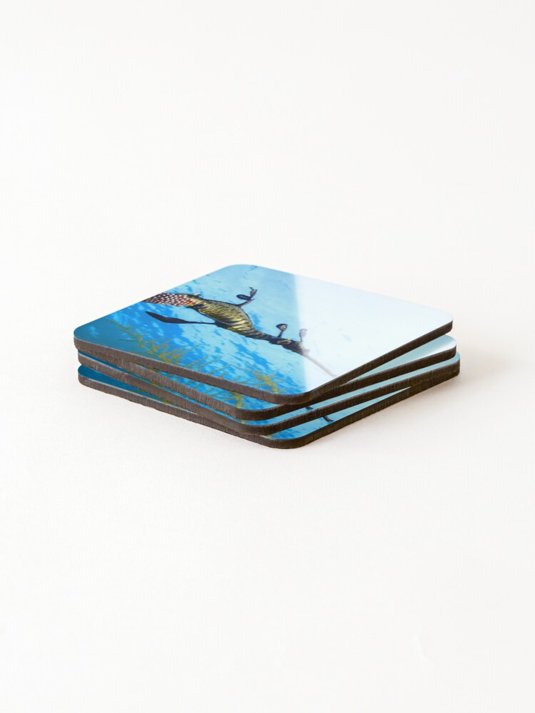 Alternate view of Weedy Seadragon with eggs under the sea Coasters (Set of 4)