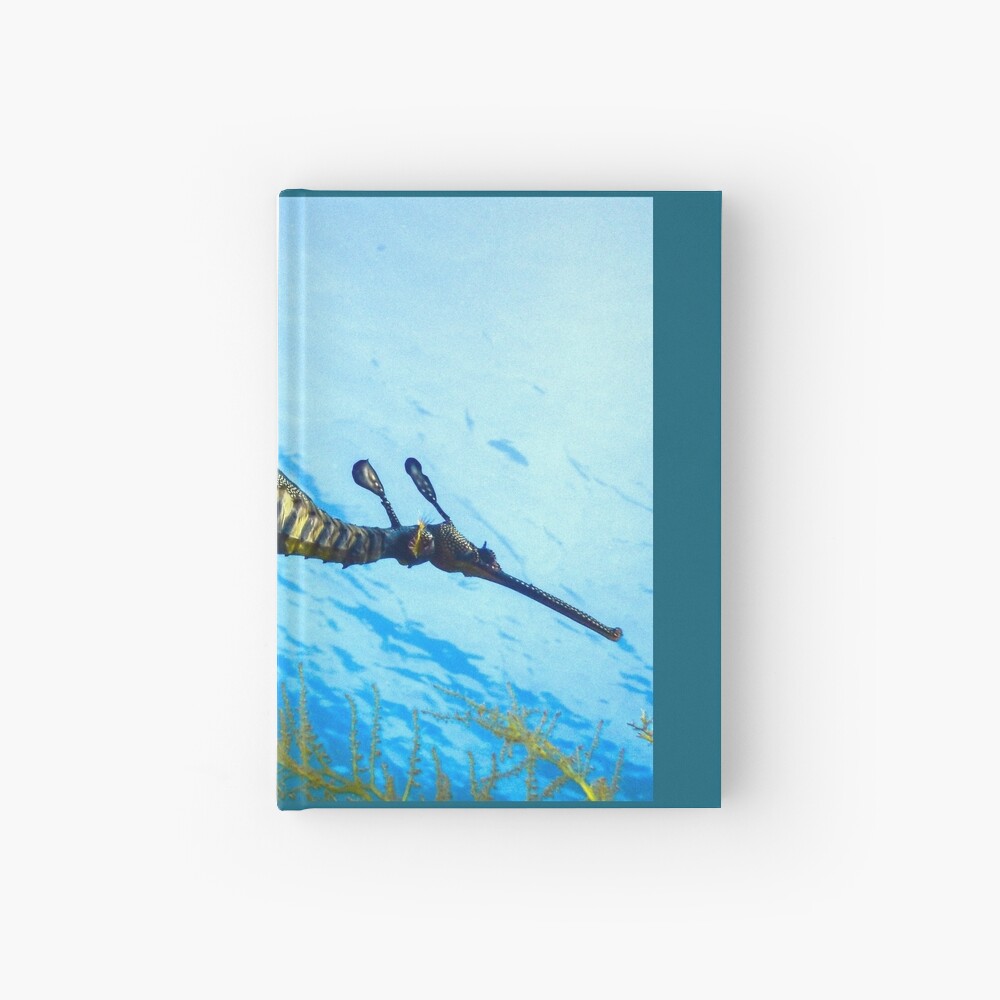 Weedy Seadragon with eggs under the sea Hardcover Journal