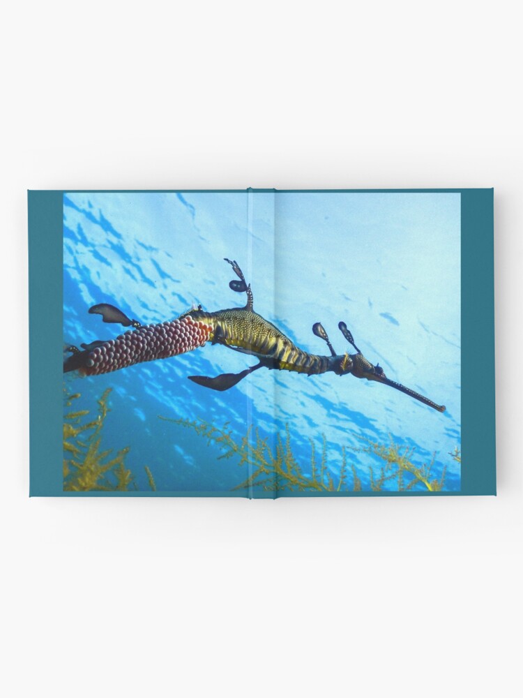 Alternate view of Weedy Seadragon with eggs under the sea Hardcover Journal