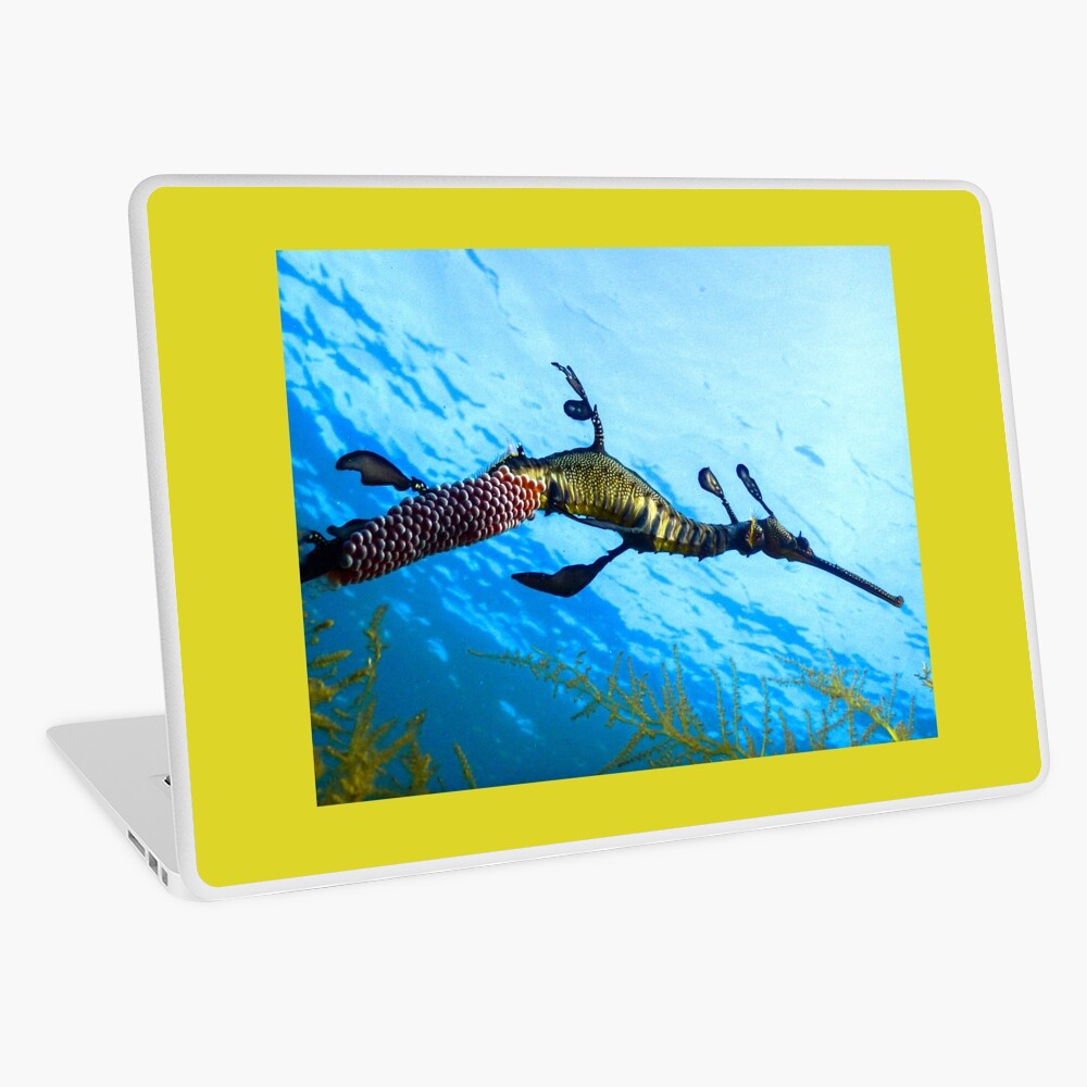 Weedy Seadragon with eggs under the sea Laptop Skin