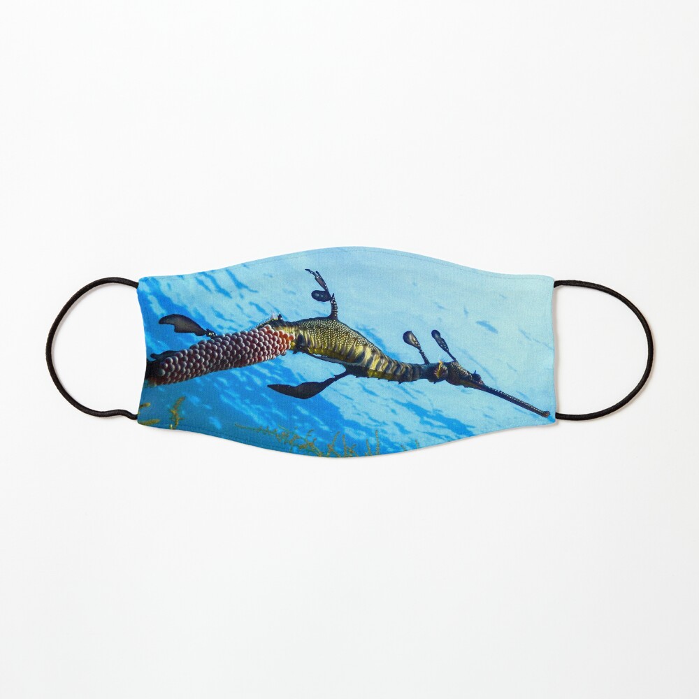 Weedy Seadragon with eggs under the sea Mask