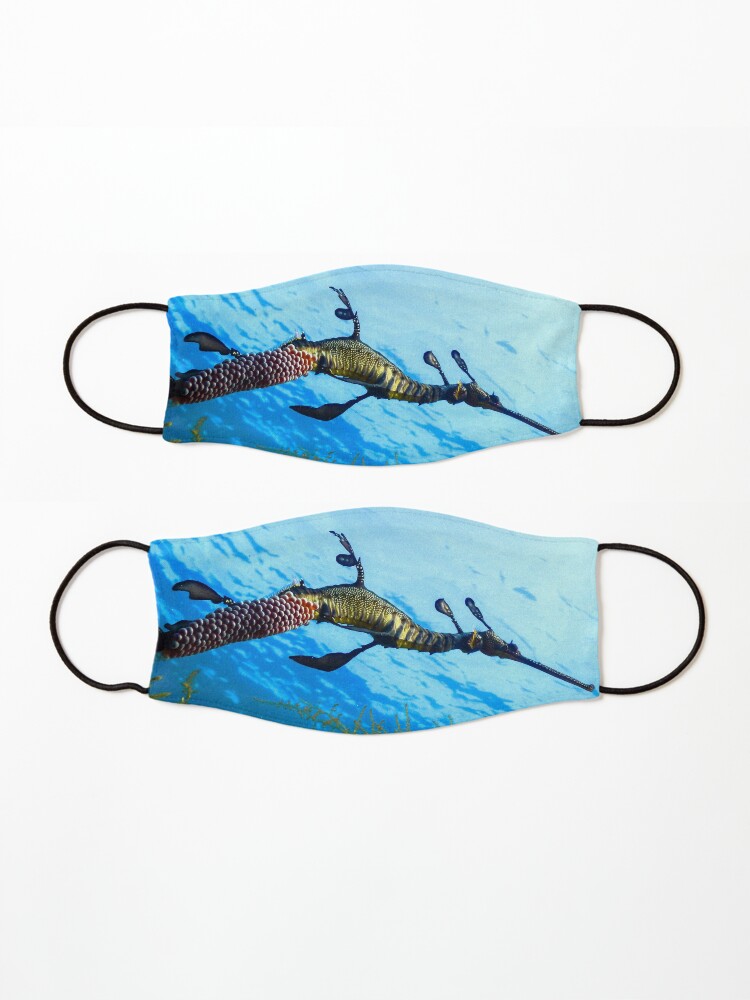 Alternate view of Weedy Seadragon with eggs under the sea Mask