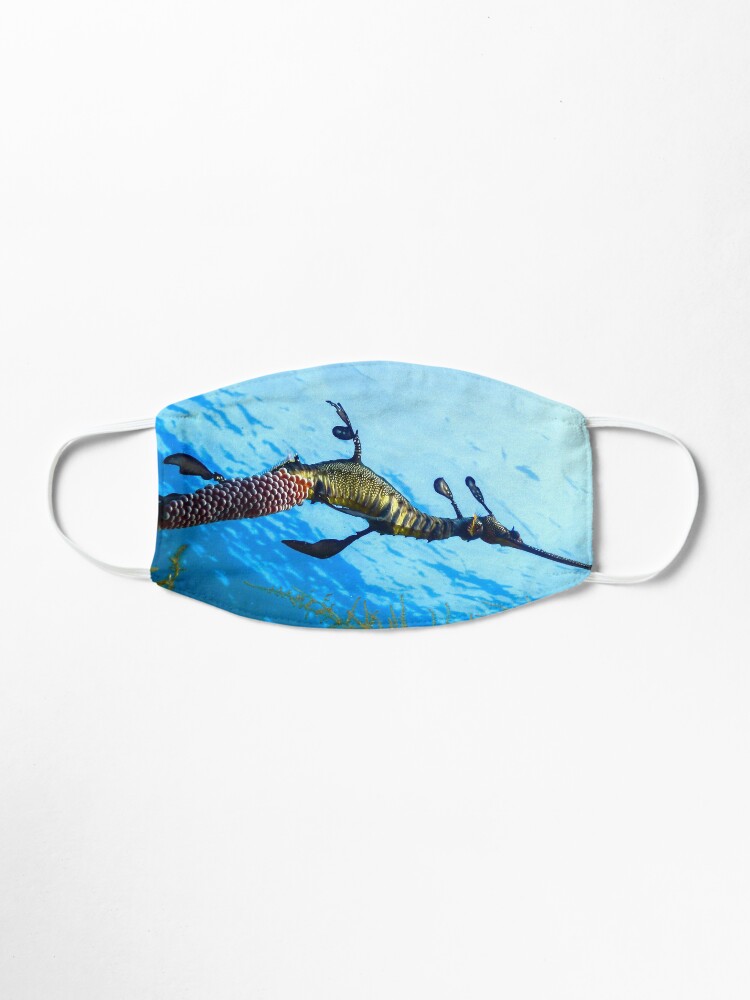 Alternate view of Weedy Seadragon with eggs under the sea Mask