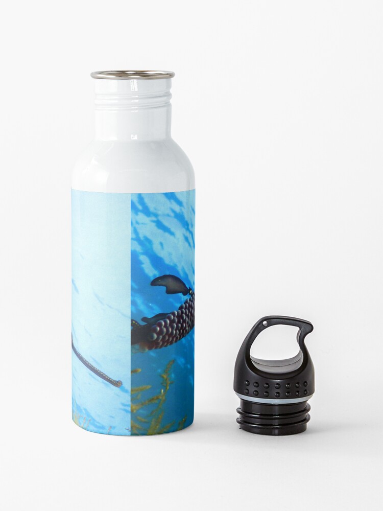 Alternate view of Weedy Seadragon with eggs under the sea Water Bottle