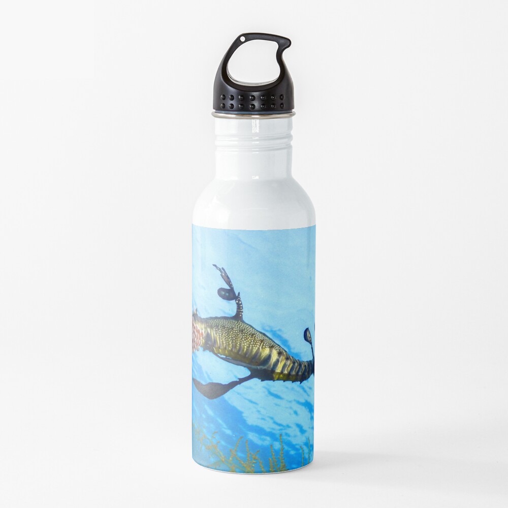 Weedy Seadragon with eggs under the sea Water Bottle