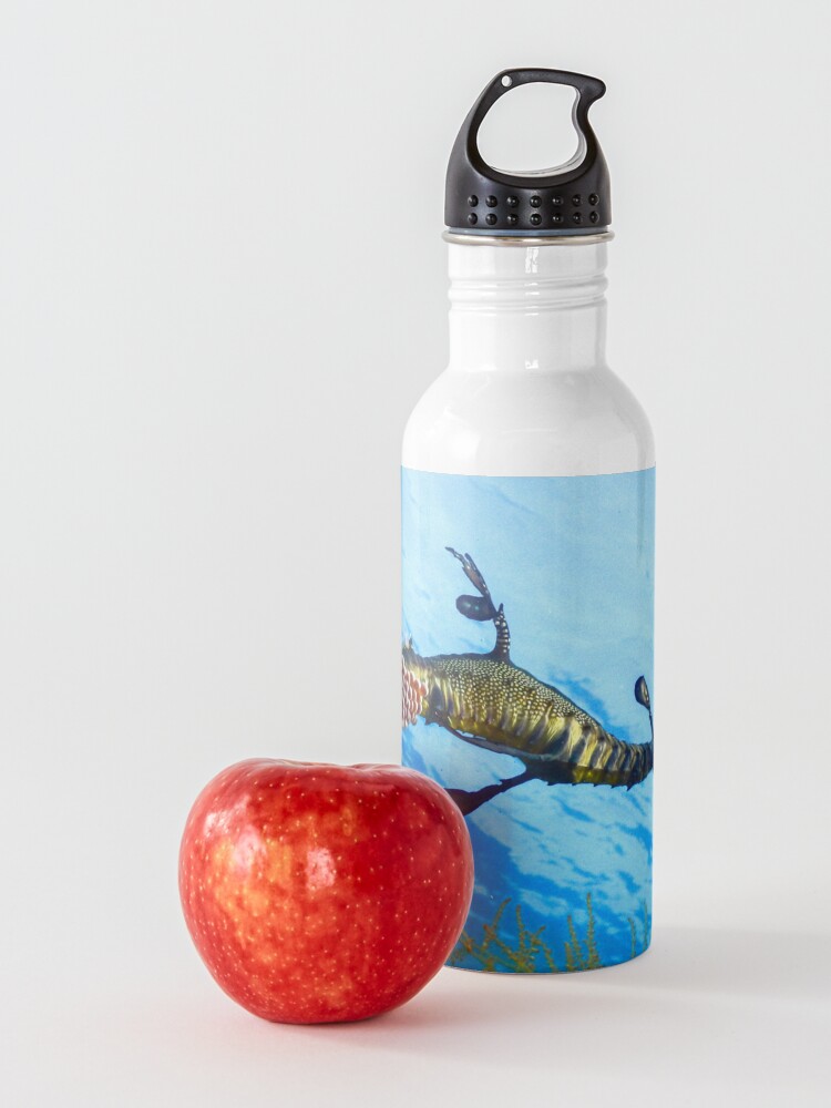 Alternate view of Weedy Seadragon with eggs under the sea Water Bottle
