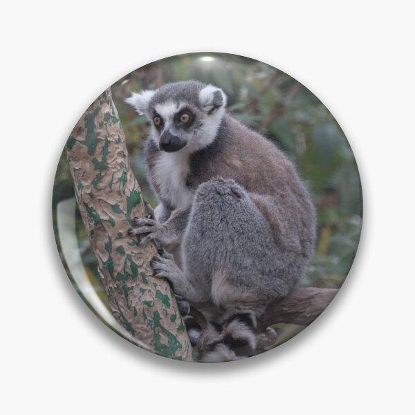 Item preview, Lemur Perch designed and sold by emmelined.