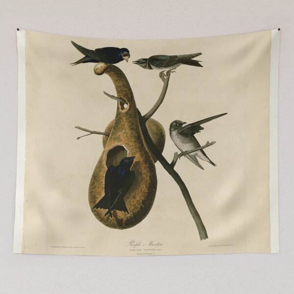 Item preview, 22 Purple Martin designed and sold by Bird-Lore.