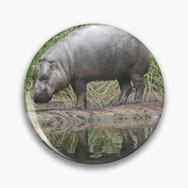 Vintage Buttons & Pins – Pygmy Hippo Shoppe