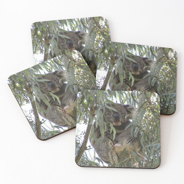 Item preview, Koala napping designed and sold by chloeclojo.