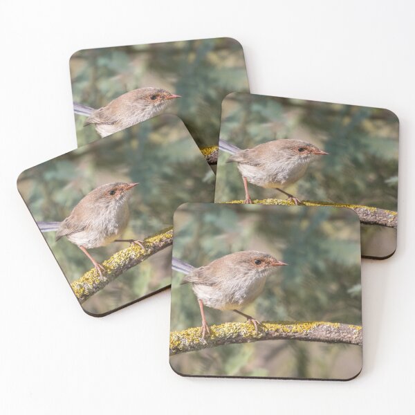 Item preview, superb fairywren designed and sold by amfphotography.