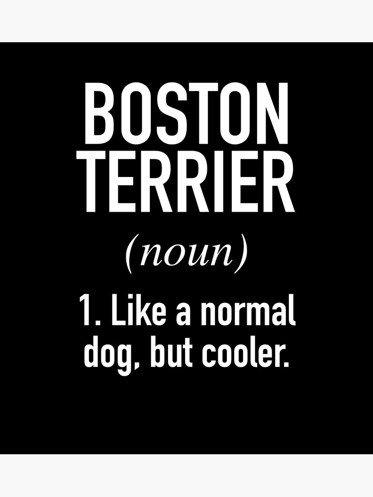 Discover Boston Terrier Dog - Funny Boston Terrier Owner Premium Matte Vertical Poster