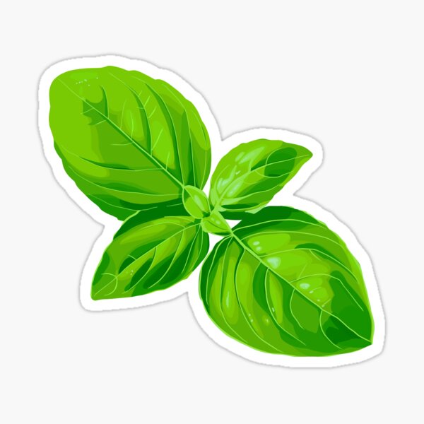 Basil Plant Merch Gifts for Sale Redbubble