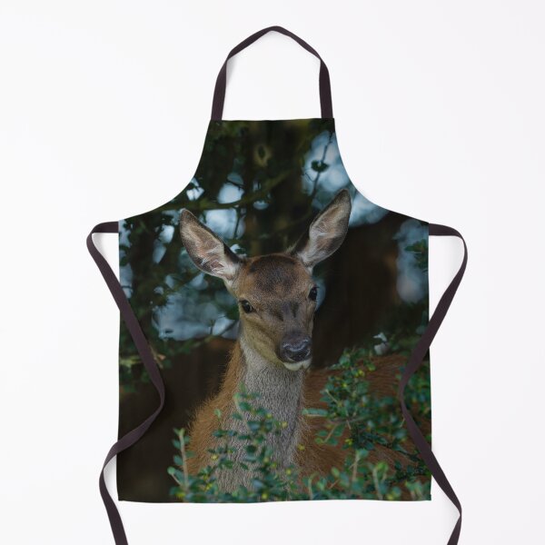 Item preview, Young Red Deer designed and sold by rawshutterbug.