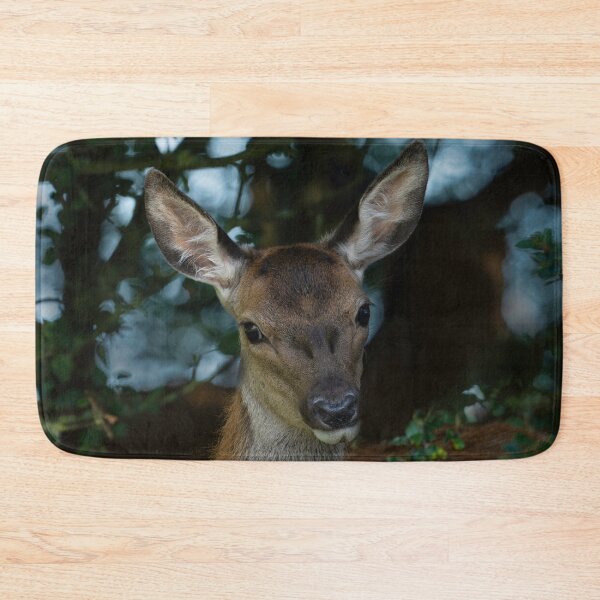 Item preview, Young Red Deer designed and sold by rawshutterbug.